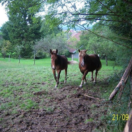 2 Chambres D'Hotes Privees Louees Separement Avec Communs A Partager Beaufort  外观 照片